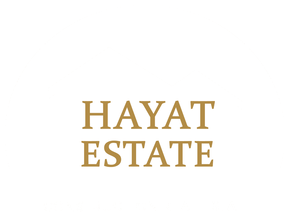 Логотип Hayat Estate